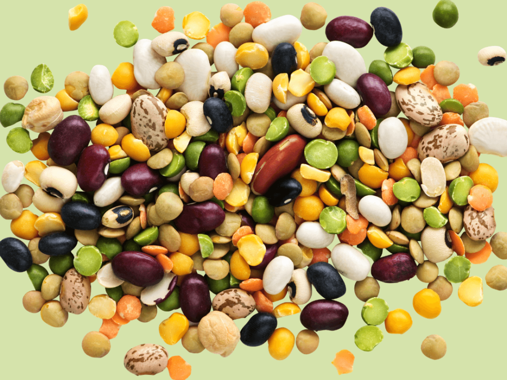 Food for perimenopause - 5 reasons to eat more beans_image